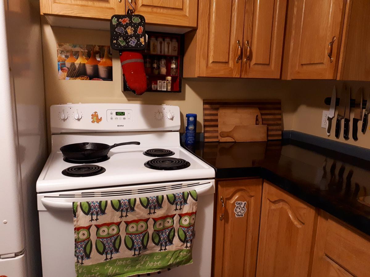 Bert Bark Inn Hostel Saint Andrews Экстерьер фото